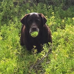 Meet your Posher, Rhonda